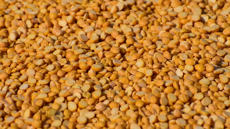 The Matel International - WhatsApp Image 2025-09-29 at 10.23.46 AM (1)